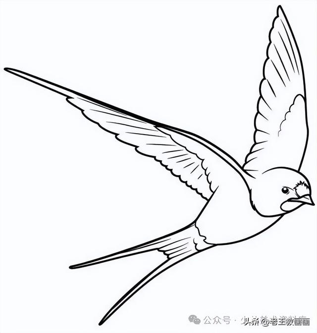 燕子的简笔画线稿图，给孩子收藏