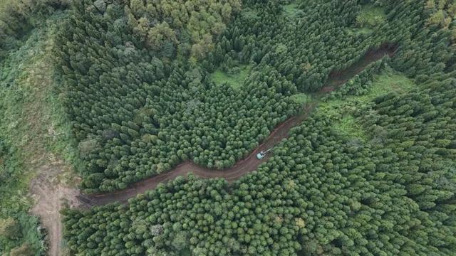 超多！超燃！超好玩！德阳最全跨年/元旦活动指南来了