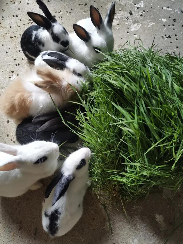 长沙人私藏！周末自驾必访的原生态村庄！