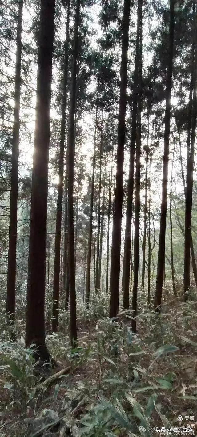 探秘楠溪江源头，深山中的秘境！