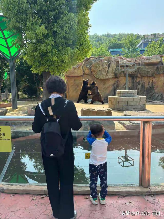 零距离邂逅神奇动物！南京金牛湖野生动物王国超详细游玩攻略