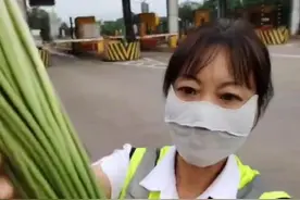 拉韭菜花过收费站被收通行费引发争吵质疑，高速路公司：蒜薹在免费目录里，韭菜花不在图片