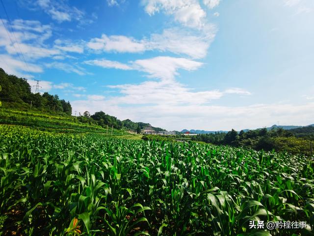 老人岩与磨刀岩：走过万仞崖壁之间不足一尺宽的险峻小道