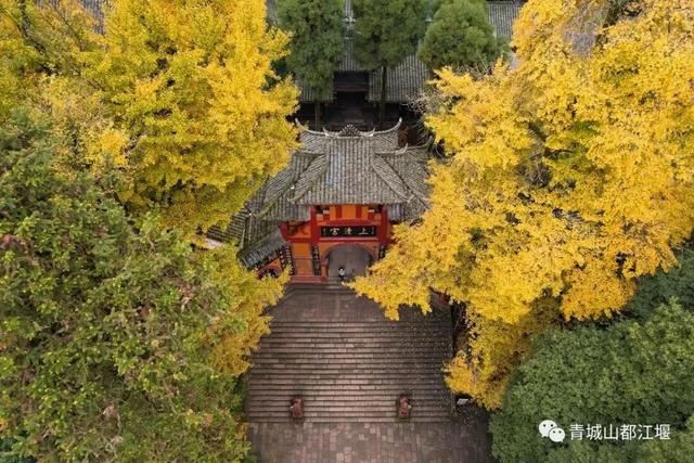 美疯！我就说初冬的都江堰有真东西！