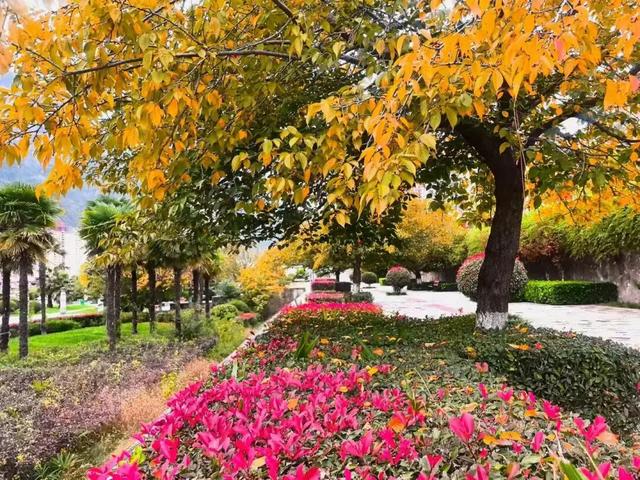 秋天的陇南，有什么好看的？