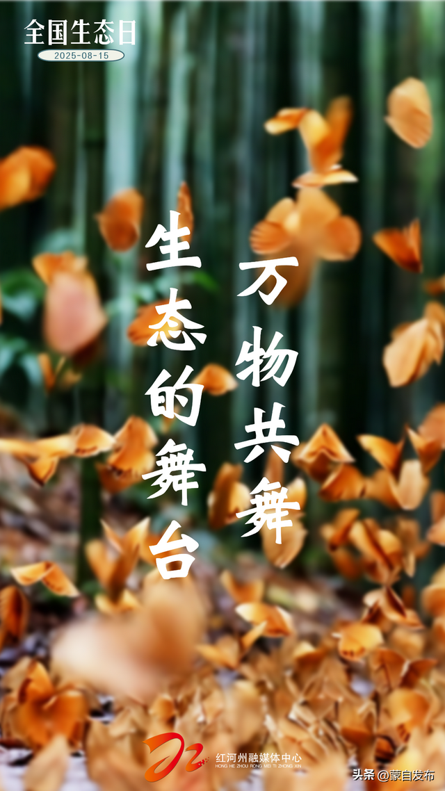 全国生态日｜“绿”满红河！每一幅都可以做你的屏保💚