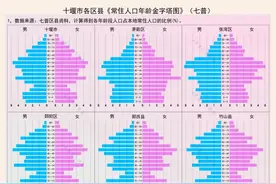十堰三区四县一市：50-60岁人口是主流图片