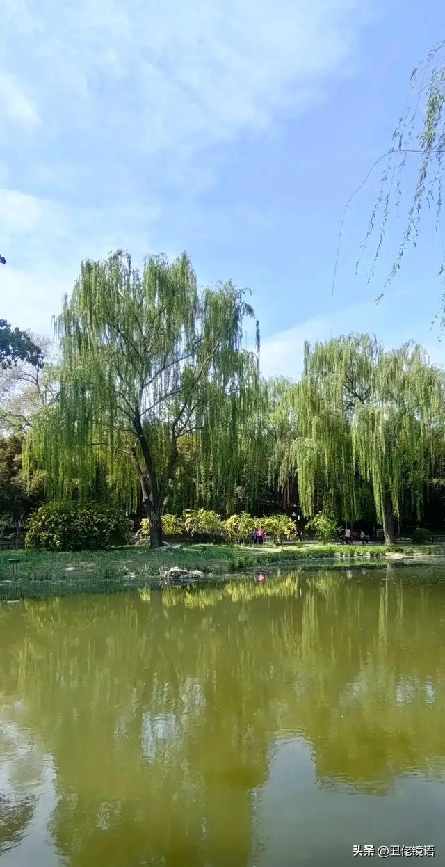 自拍影集（30）紫竹院公园风景绿水轻舟·上
