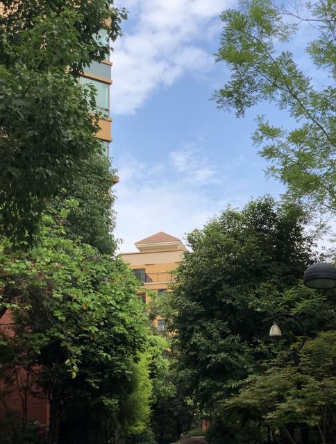 知情人披露成都女子家门口遇害案庭审细节：死缓判决背后的四大焦