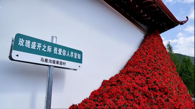 乘着高铁游白山 | “百区百景”打卡攻略之长白果园朝鲜族民俗村