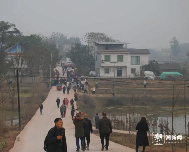 “摇人按猪	”女孩呆呆走红后：有人凌晨4点赶去；收费后当地一农庄就餐人数从600桌骤降至30桌