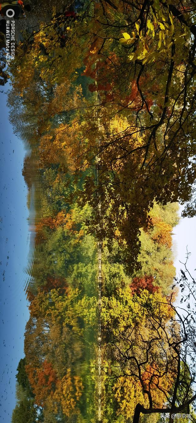 颐和园的枫叶红了