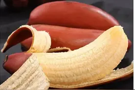 好吧，被“种草”了太多品种，列举了五种香蕉，第五种还真没见过图片