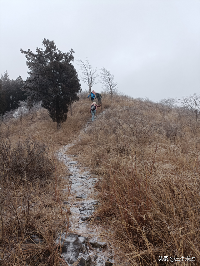 无为在歧路，何处寻雾凇