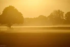 叔叔去外面打工，十二三岁的侄子陪婶婶睡觉做伴，最终家破人散图片