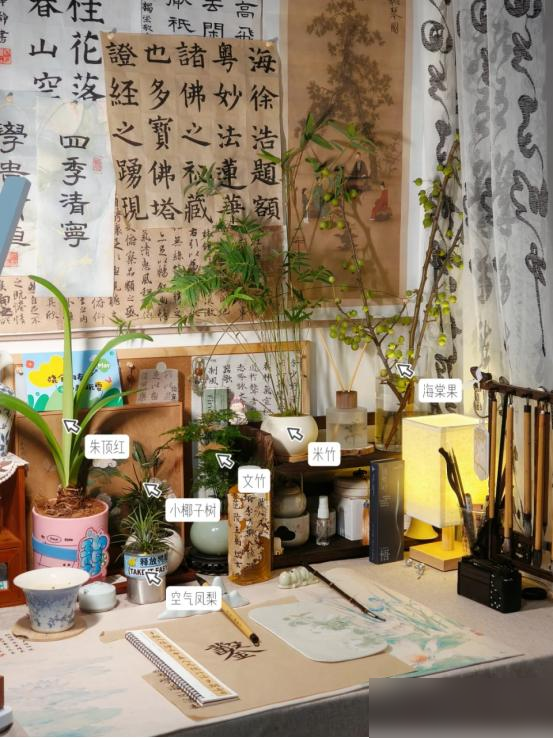 “阴花不能进阳宅”，家里若有这5种花，请赶紧“搬出去”！