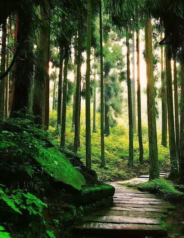 向老师们致敬！天台山教师节专属福利来啦！