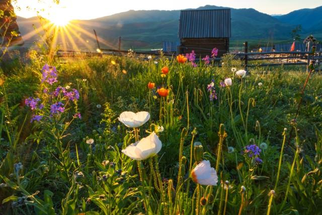 两性关系：年过68岁，不管身体多好，也要注意这5个活细节