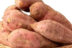 买红薯时，挑“细长”还是“粗圆”的好？很多人不知道，区别很大图片