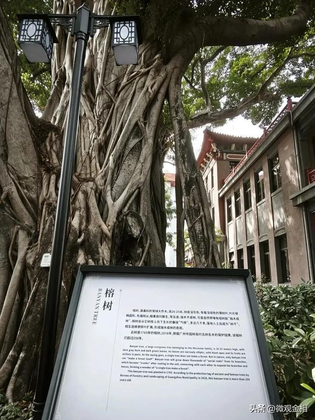 坐落于广州市中心的一家皇家园林式酒店广东迎宾馆