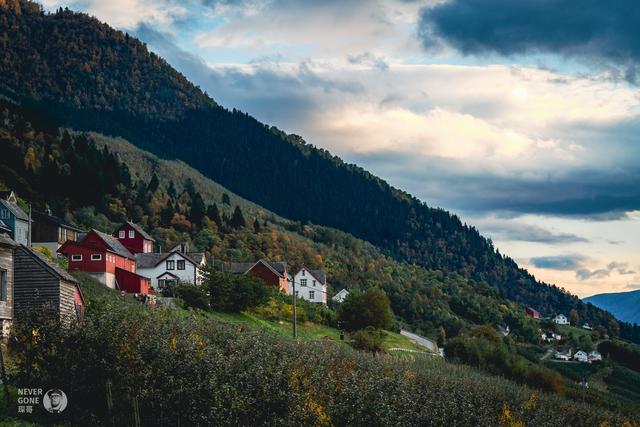 挪威秋韵，峡湾森境