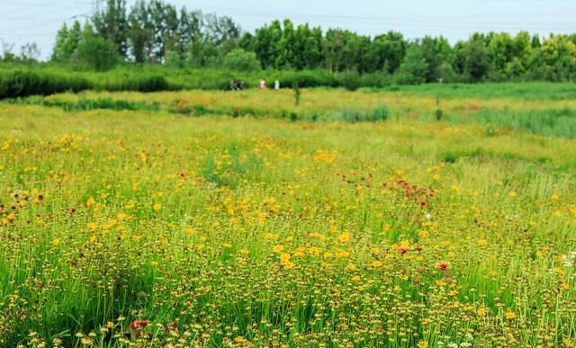 女人想“睡”你时，才邀请你做这3件事；别傻不知道