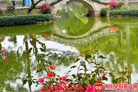 广西气温逐渐回升，回南天又上线？先别慌……图片