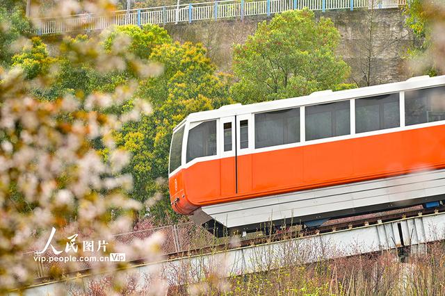 重庆：开往春天的列车