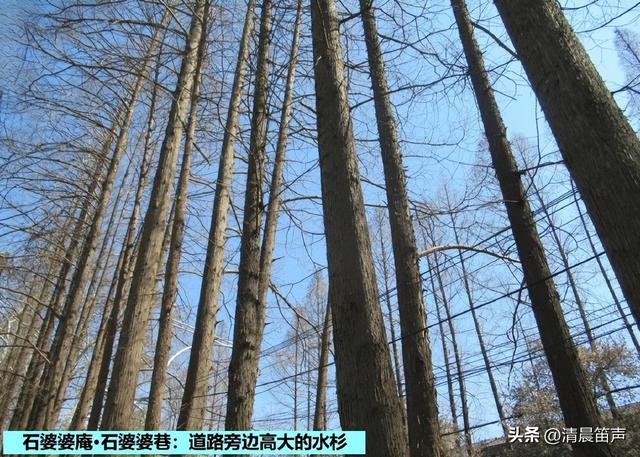 寻常巷陌：石婆婆庵·石婆婆巷