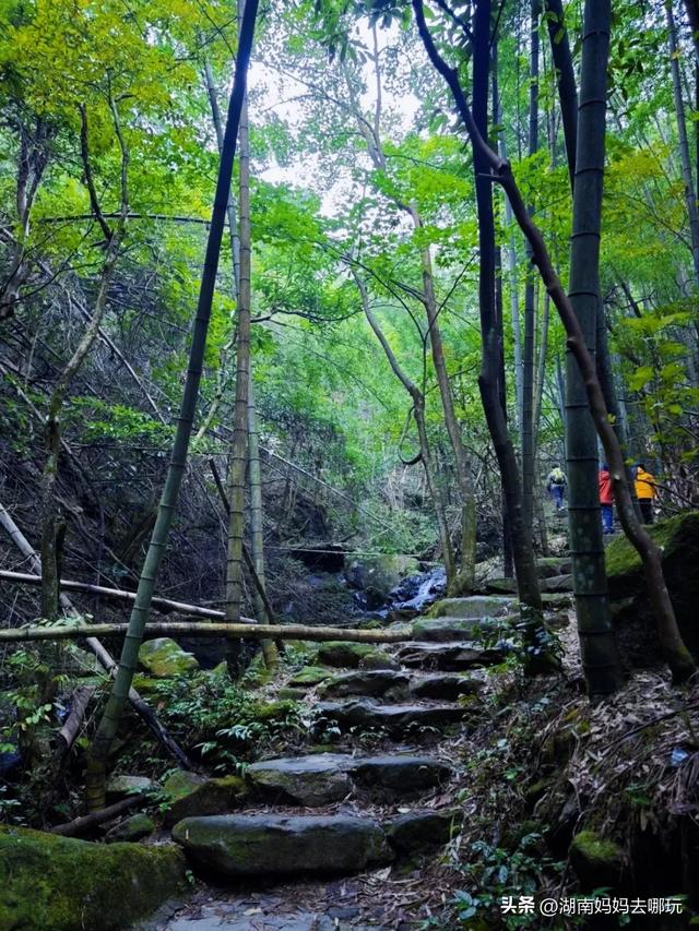 1.5h直达！藏在山野里的捡秋秘境，瀑布+挖宝双buff拉满！