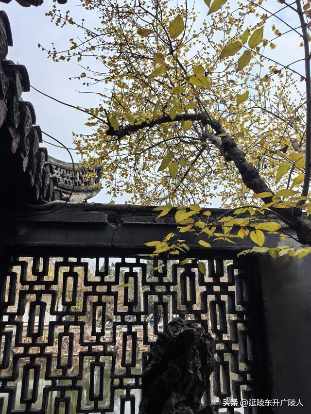 冬游如皋水绘园 亭台楼阁才子佳人水相会 匠心独运天地人造似天成