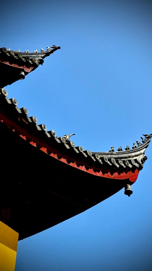 你一声秋不晚，我便到了真江南｜姑苏寻秋