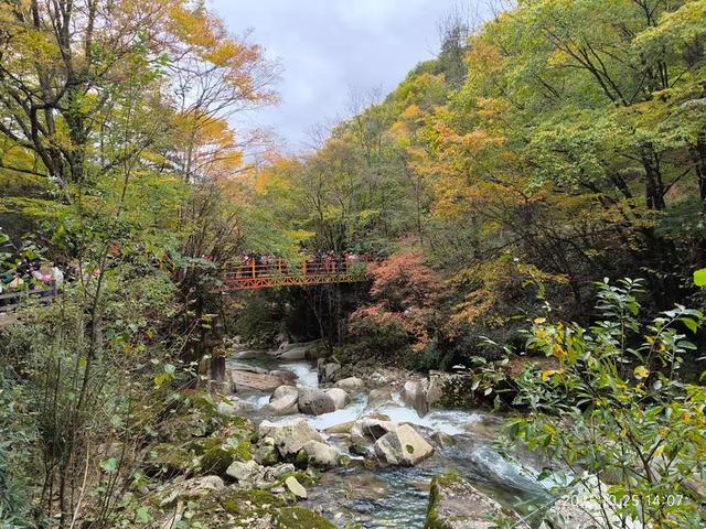 排队游览光雾山