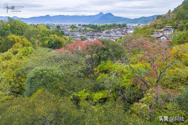 丽江的最美秋色九鼎龙潭，但位置隐秘，大部分游客都视而不见