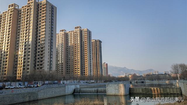 泰安：城东有一个公园，一场40分钟的闲逛，竟找到让人动容的瞬间