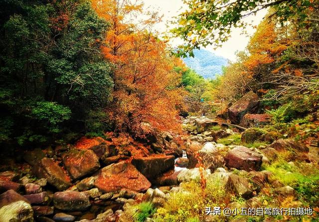 宁波四明山 2 日秋游攻略：红枫水杉 + 自驾避坑