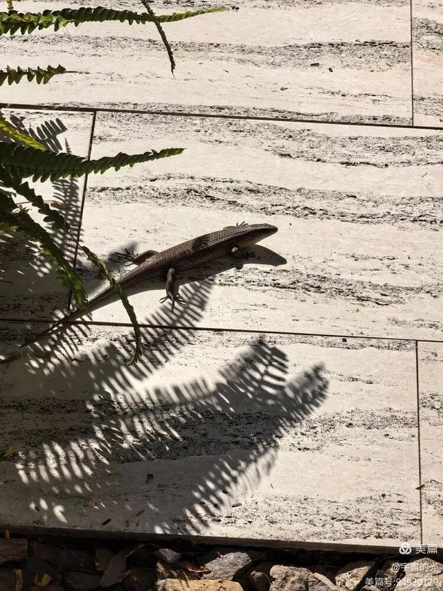 被世界推荐的旅游圣地~西双版纳之行随想