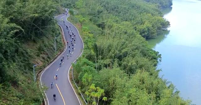 风驰竹海，骑友盛赞！在运动与美景的交融中收获双重满足