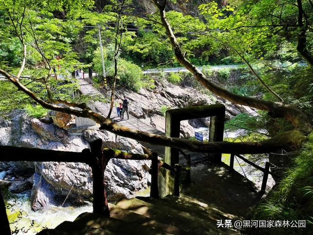 立秋已至，暑热未消，黑河山水与你相约“剩”夏的时光