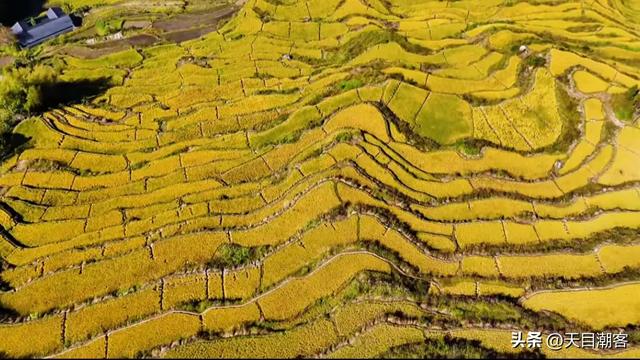 崇山峻岭间，英川镇凤凰寨梯田，以其千年积淀的农耕智慧静默矗立