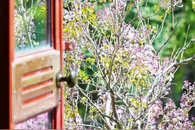 早啊！新闻来了〔2025.4.30〕图片