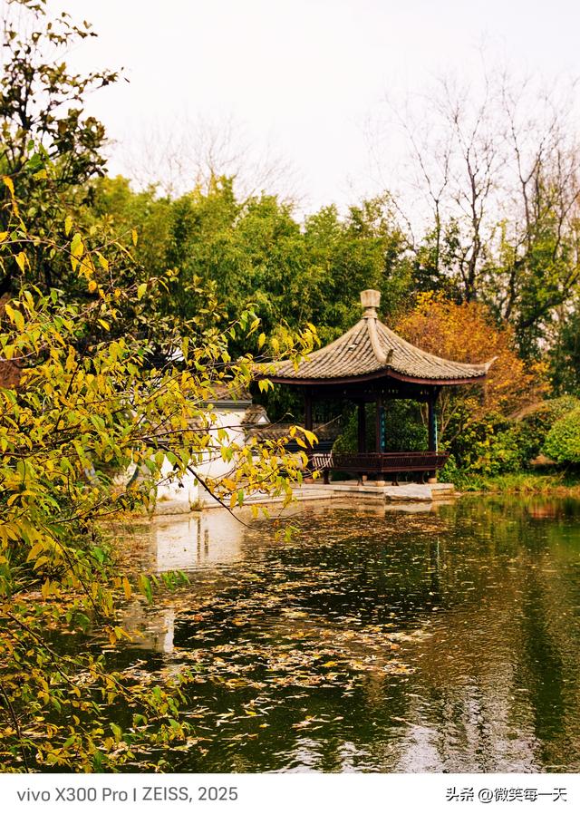 晨雾裹着秋香闯了金山寺，我在亭台里捡到一整个江南