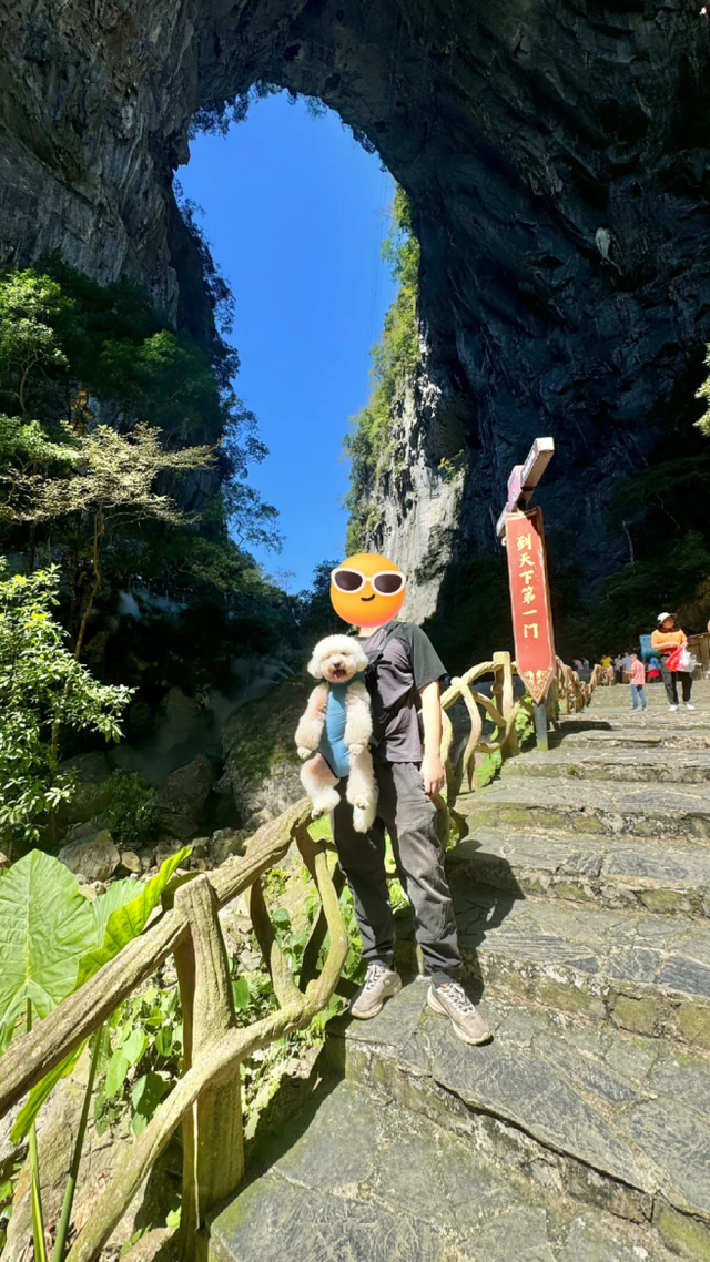 在韶关，带毛孩子去哪“浪”？这份宠物友好地图请收藏，撒欢不踩雷~