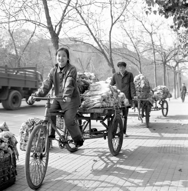 大棚乱了四季，却乱不了北京人对冬储白菜的执念