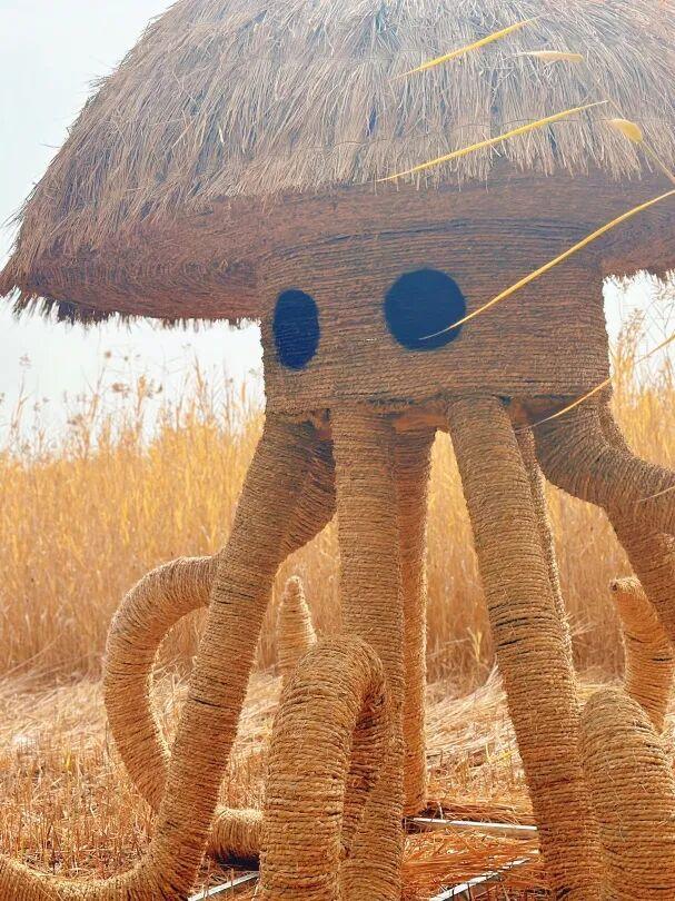 大地艺术与彩叶共绘生态画卷！藏在园博园湿地里的秋日浪漫→