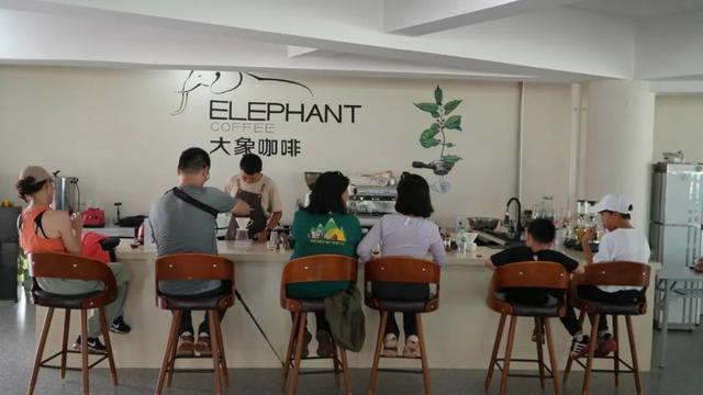 思茅区：咖啡庄园迎来暑期旅游热 解锁“咖旅融合”新玩法