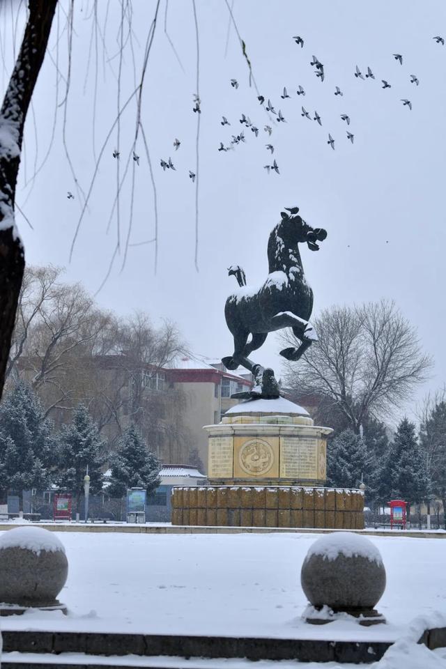 朔州：这场雪，认真