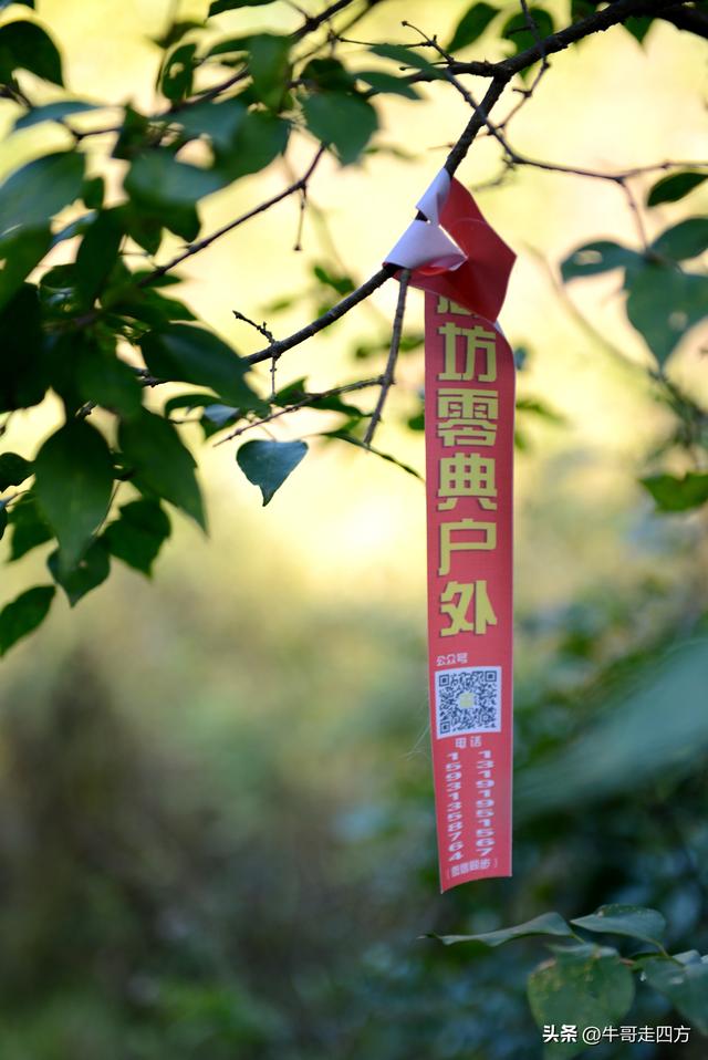 延庆应梦寺（五）：山巅极目收千嶂，林海听风涤尘心