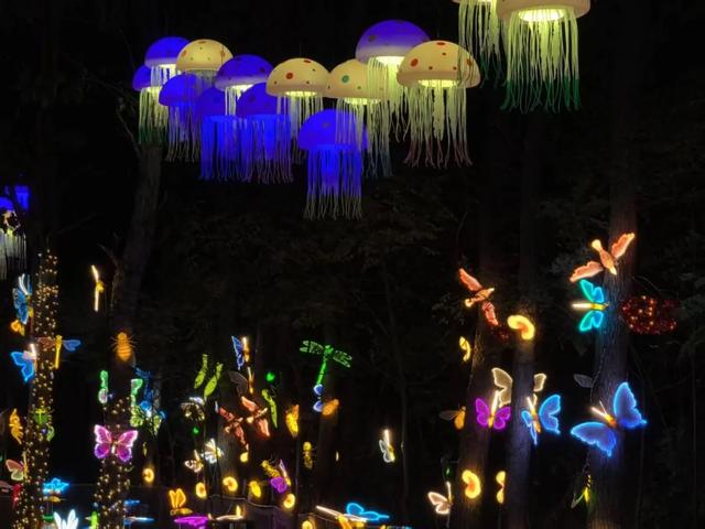 秋日来龙沙湾怎么玩?这份游玩攻略请收好