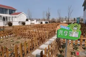 宿豫有处“共享菜园”：市民“开心农场” 种出“绿色生活”图片